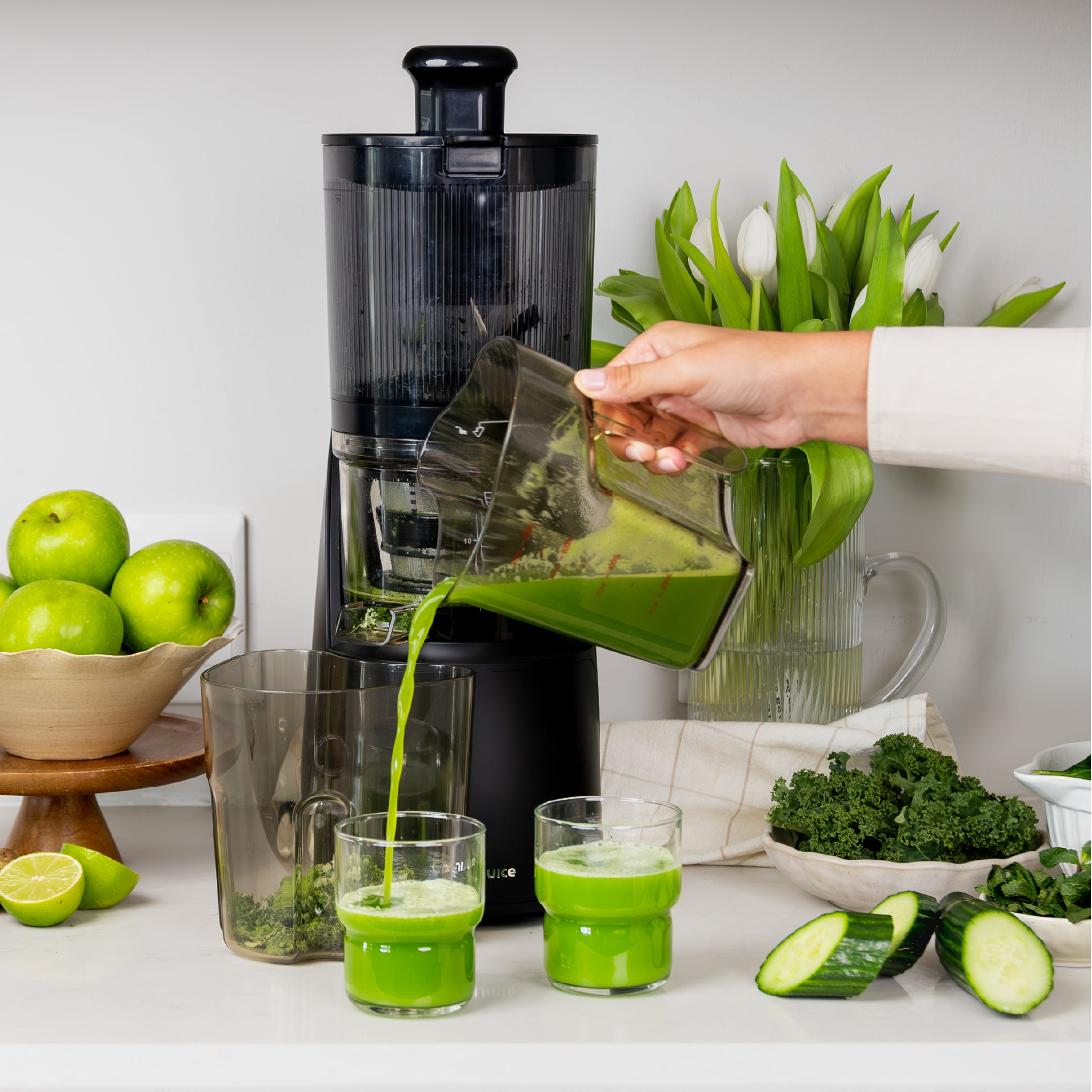 OmniJuice Cold Press Juicer